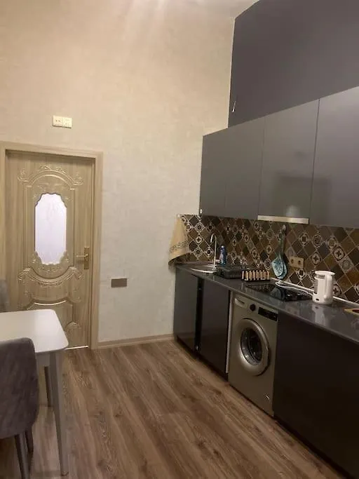 Central Apartment In Baku
